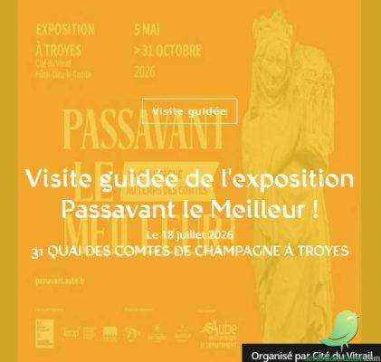 Visite guidée de l&rsquo;exposition Passavant le Meilleur ! - 0