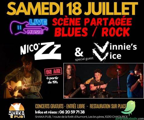 Soirée BLUES-ROCK: 2 CONCERTS - 0