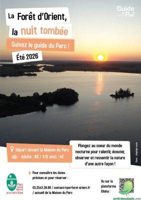 La Forêt d’Orient à la nuit tombée - 0