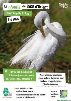 Le réveil des lacs d’Orient - 0