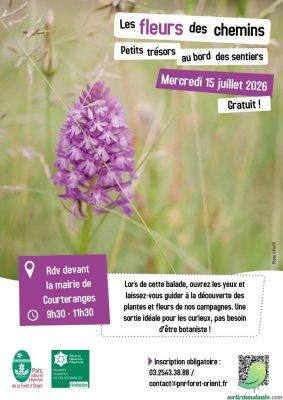 Les fleurs des chemins : petits trésors au bord des sentiers - 0