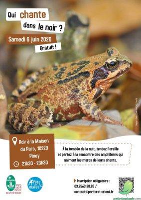 Qui chante dans le noir ? Écouter les amphibiens dans leur milieu de vie - 0