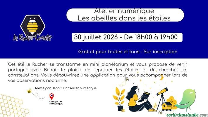Atelier : Les abeilles dans les étoiles - 0