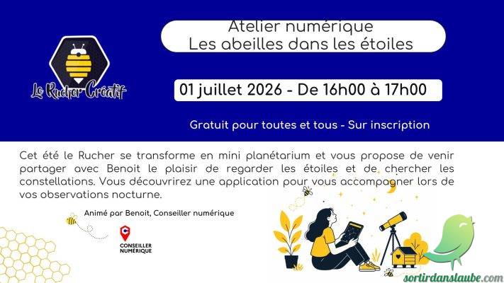 Les abeilles dans les étoiles - 0