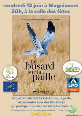 Le Busard sur la paille - 0