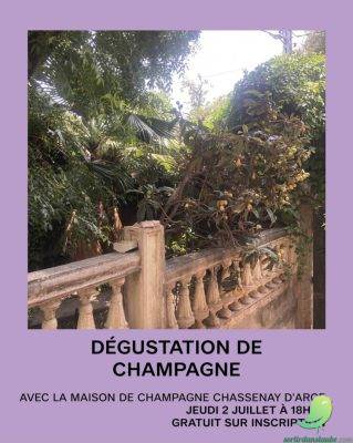 Dégustation de champagne à Passages - 0