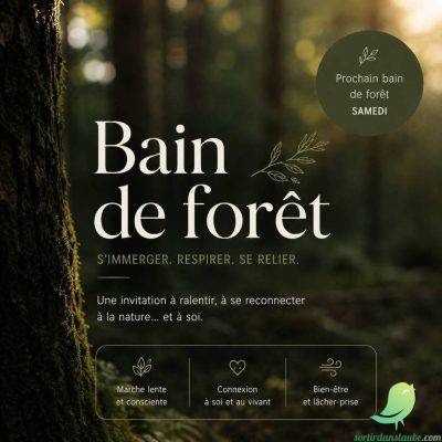 Bain de forêt Conscient – S&rsquo;immerger dans le silence. Respirer. Se relier à soi et au vivant. - 0