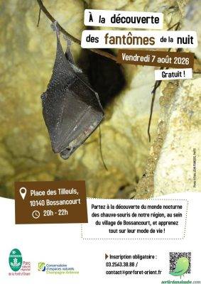 A la découverte des fantômes de la nuit - 0