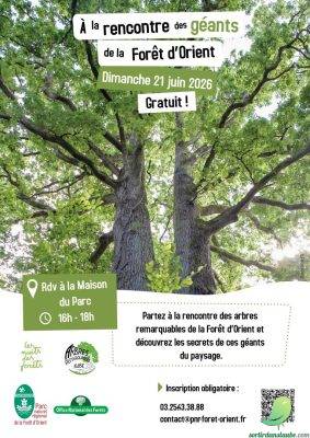 Nuits des forêts: À la rencontre des géants de la Forêt d’Orient - 0