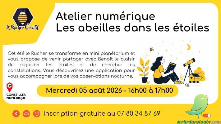 Atelier : Les abeilles dans les étoiles - 0