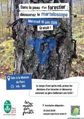 Nuits des forêts – Dans la peau d’un forestier : découvrez le marteloscope - 0