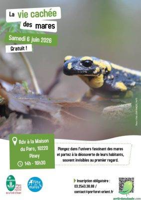 La vie cachée des mares : comprendre, observer, protéger - 0