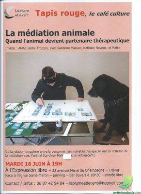 Tapis rouge: La médiation animale, quand l’animal devient un partenaire thérapeutique - 0