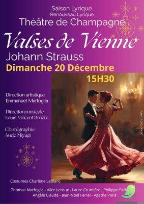 VALSES DE VIENNE - 0