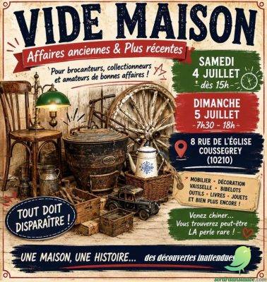 VIDE MAISONS SUR COUSSEGREY - 0