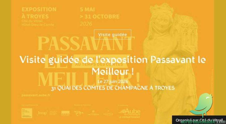 Visite guidée de l&rsquo;exposition Passavant le Meilleur ! - 0
