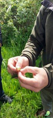 Visite nature – Balade champenoise - 0