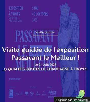 Visite guidée de l&rsquo;exposition Passavant le Meilleur ! - 0