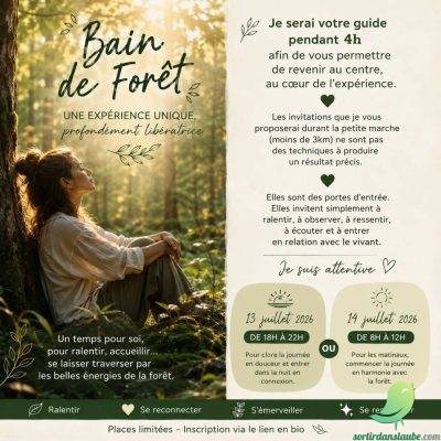 Bain de forêt – Une expérience de reconnexion au vivant… et à soi - 0