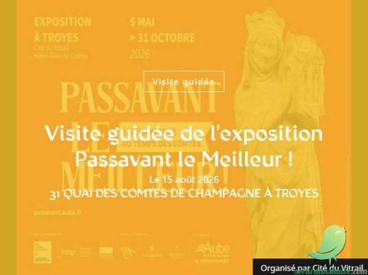 Visite guidée de l&rsquo;exposition Passavant le Meilleur ! - 0