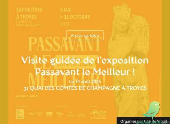 Visite guidée de l&rsquo;exposition Passavant le Meilleur ! - 0