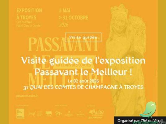 Visite guidée de l&rsquo;exposition Passavant le Meilleur ! - 0