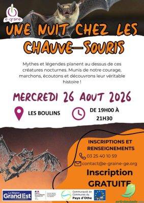 Une nuit avec les Chauves-souris - 0