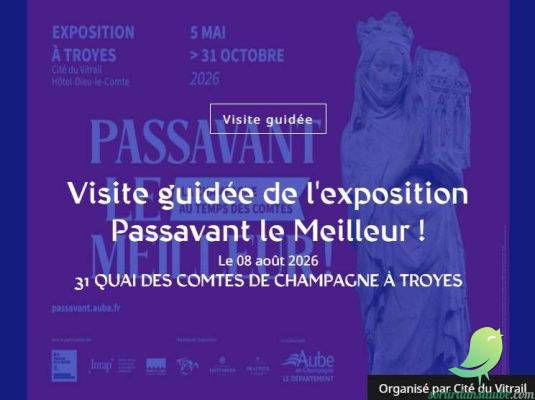 Visite guidée de l&rsquo;exposition Passavant le Meilleur ! - 0