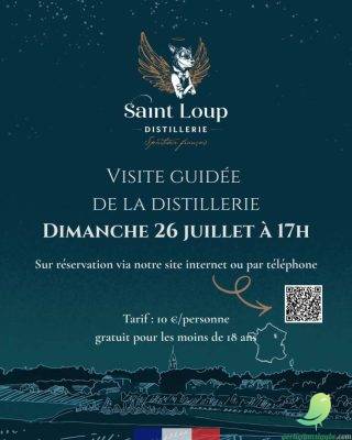 Visite guidée de la distillerie Saint Loup - 0