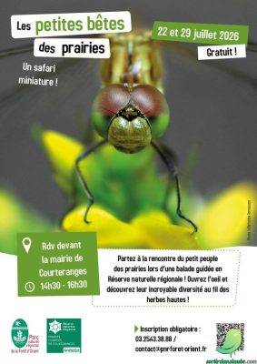 Les petites bêtes des prairies : un safari miniature au cœur de la nature - 0