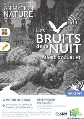 Les bruits de la nuit - 0