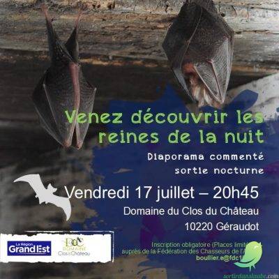 Découverte des chauves-souris - 0
