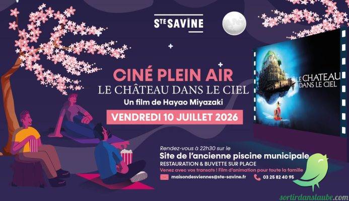 Ciné en plein air - 0