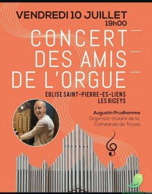 CONCERT DES AMIS DE L&rsquo;ORGUE - 0