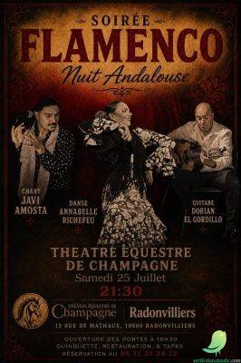 Soirée flamenco: Nuit Andalouse - 0