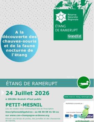 À la découverte des chauves-souris et de la faune nocturne de l&rsquo;étang - 0