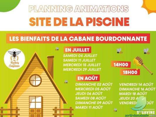 Les bienfaits de la cabane bourdonnante - 0