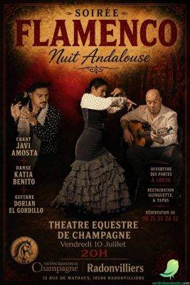 Nuit Andalouse au Théâtre Equestre de Champagne - 0