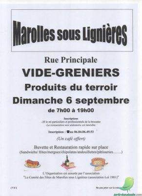 ANNULÉ! Vide grenier: Marolles sous Lignières - 0