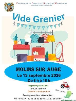 Vide grenier: Molins sur aube - 0