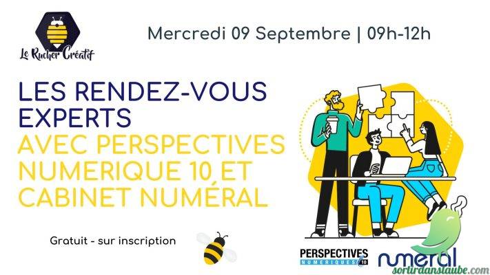 Les Rendez-vous Experts avec Perspectives Numérique 10 et cabinet Numéral - 0