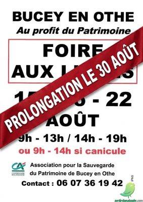 Foire aux livres - 0