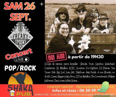 FREAKY SPOONS en concert - 0