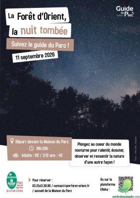 La Forêt d’Orient à la nuit tombée - 0