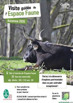 Visite guidée de l’Espace Faune de la Forêt d’Orient - 0