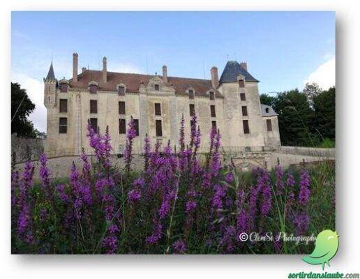 Journée découverte en car « Cirey-sur-Blaise et les châteaux du barsuraubois »» - 0