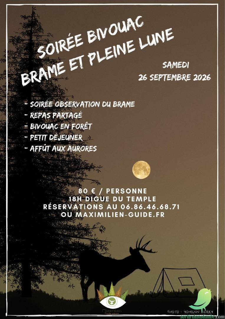 Soirée bivouac brame du cerf et pleine lune - 0