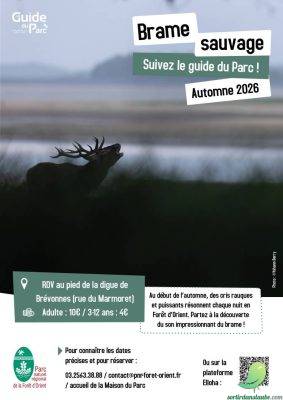 Brame sauvage - 0