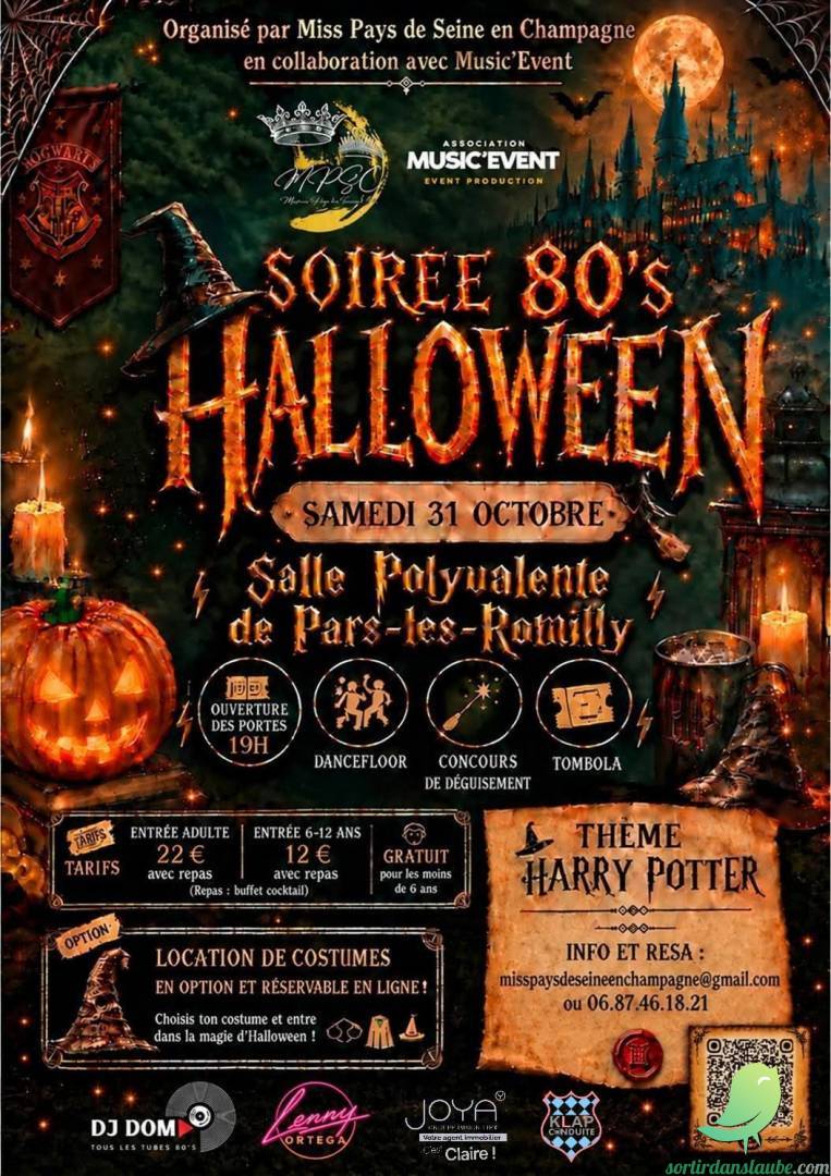 Soirée Halloween Harry Potter - 0