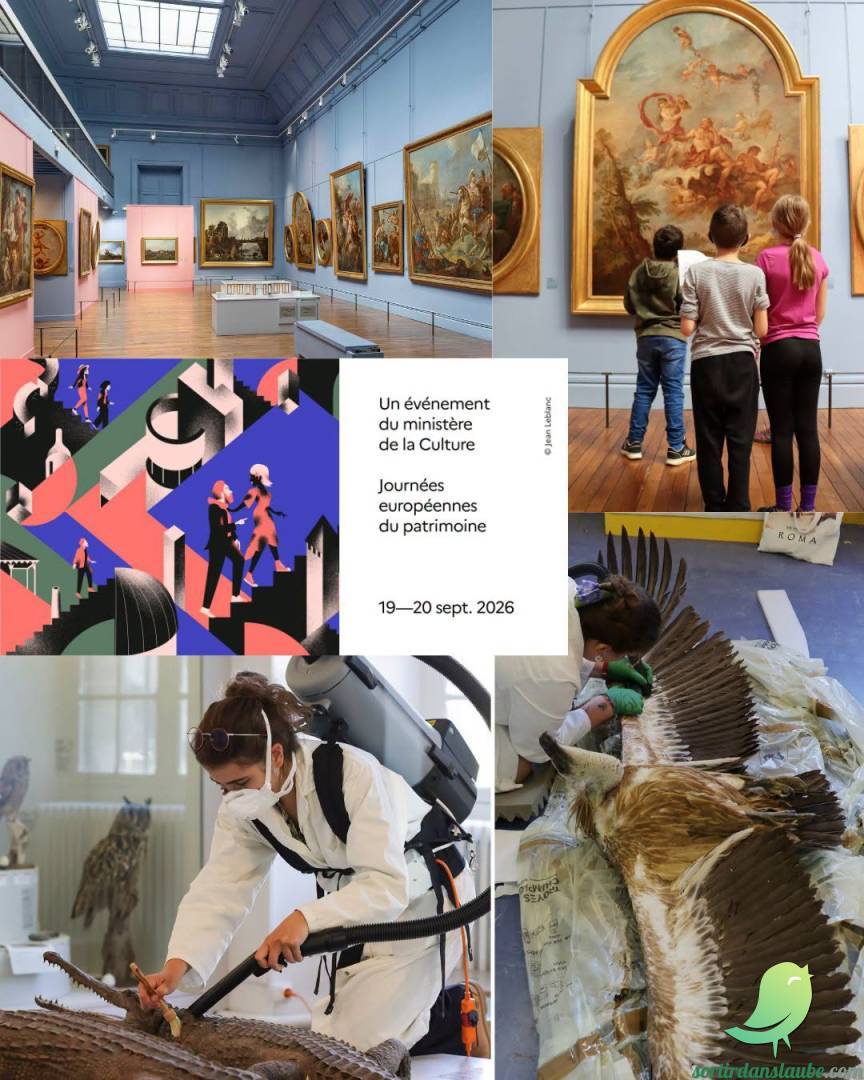JEP: Musées de Troyes - 0